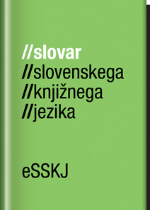 Platnica za eSSKJ – Slovar slovenskega knjižnega jezika